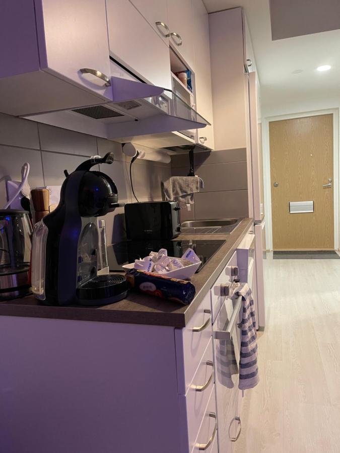 Arctic Penthouse Studio With Free Parking And High-Speed Wi-Fi Rovaniemi Exterior photo